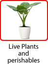 Live plants